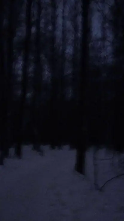 ai character: Soviet background