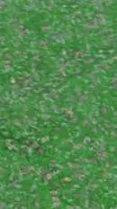 ai character: verity x grox background