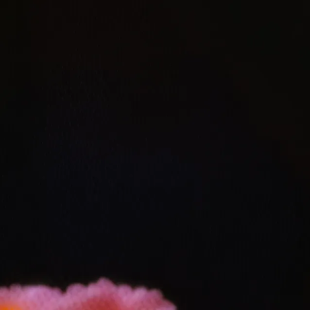 chat with ai character: do what u want