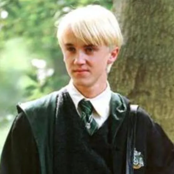 chat with ai character: Draco Malfoy