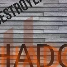 chat with ai character: SHADOW
