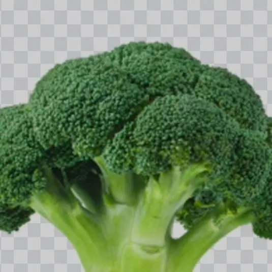 chat with ai character: Y/N