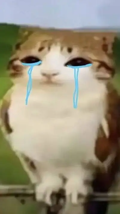 ai character: Injured Meowl😔❤️‍🩹 background