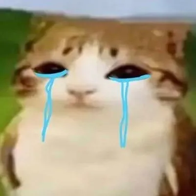 chat with ai character: Injured Meowl😔❤️‍🩹