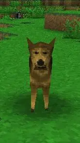 ai character: Coyote background