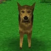 chat with ai character: Coyote