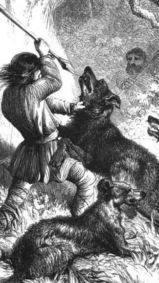 ai character: Caçador de Lobos  background