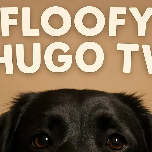chat with ai character: floofy hugo tv