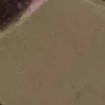 chat with ai character: poop