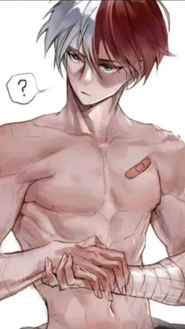 ai character: shoto wife/husband background