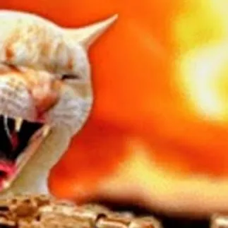 chat with ai character: killer cat 