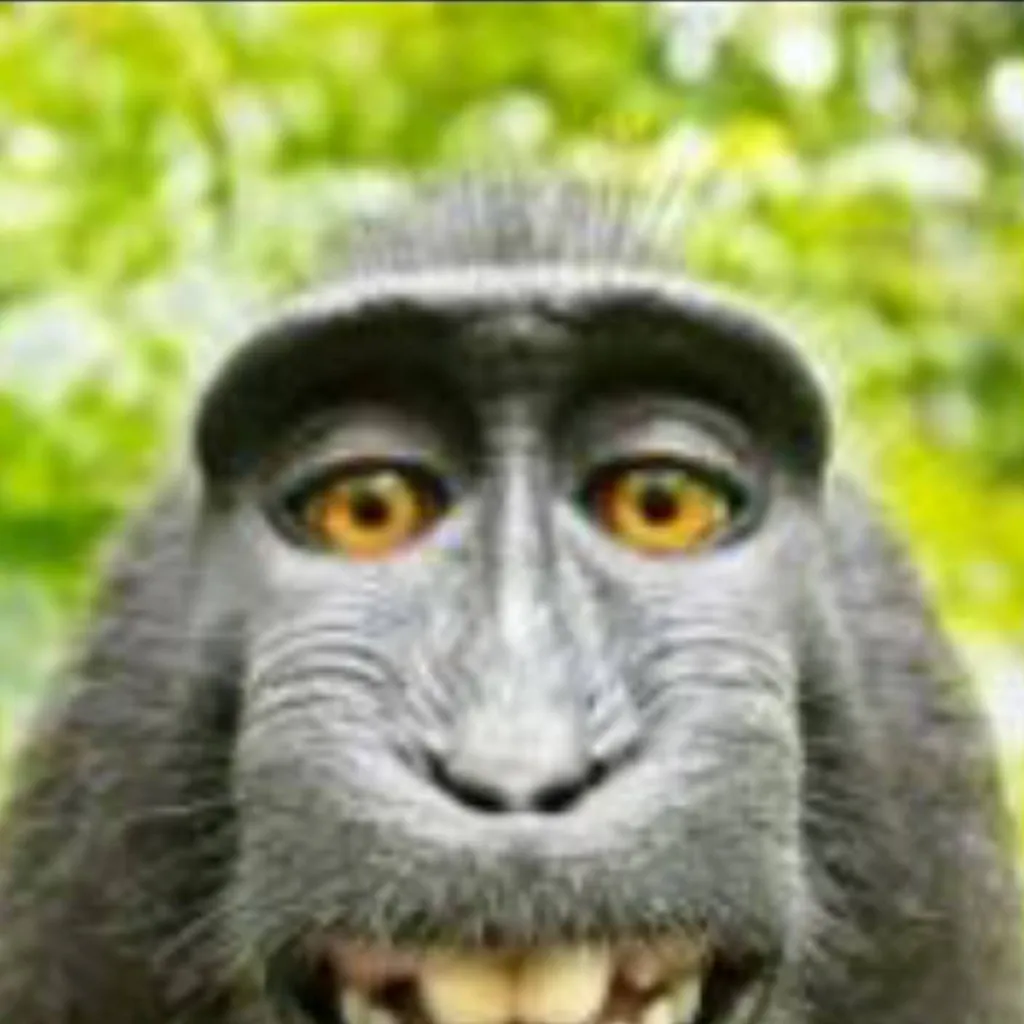 chat with ai character: Monkey (you btw)