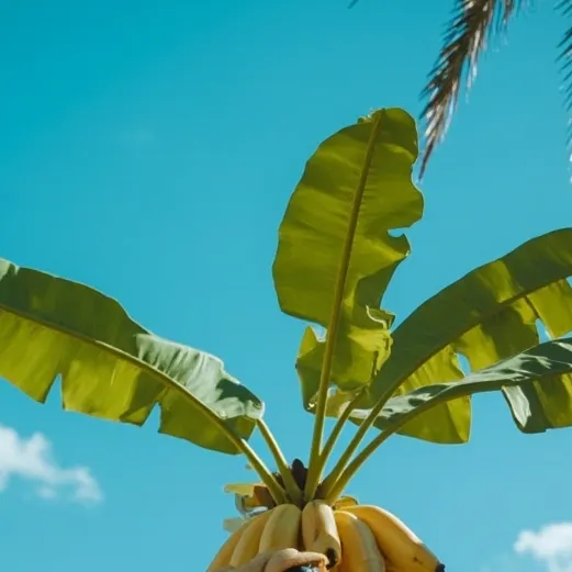 chat with ai character: Banana
