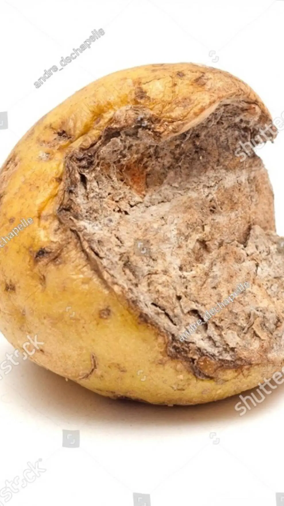 ai character: Papas Oof! background