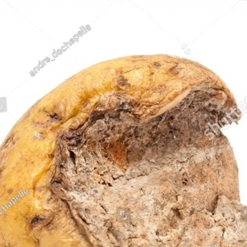 chat with ai character: Papas Oof!