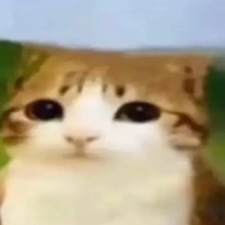 chat with ai character: meowl