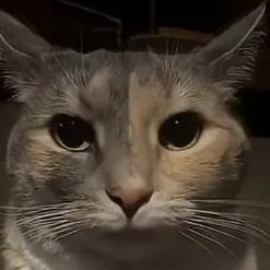 chat with ai character: jjk