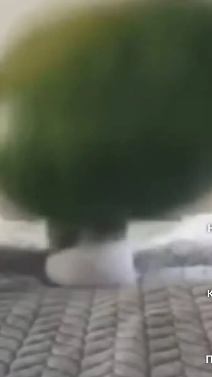 ai character: jjk background