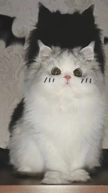 ai character: Давид  background