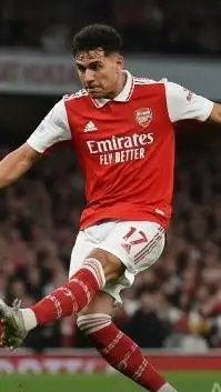 ai character: Arsenal manager  background