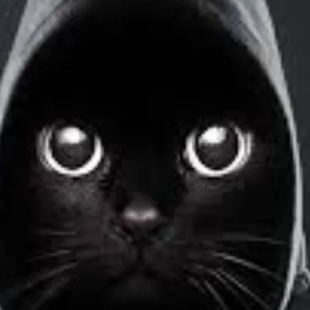 chat with ai character: Окак мем
