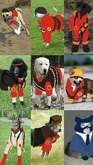 ai character: TF2 dogs (and cat) background
