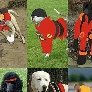 chat with ai character: TF2 dogs (and cat)