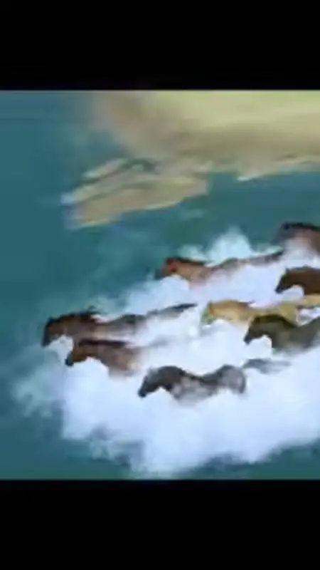 ai character: Horse herd background