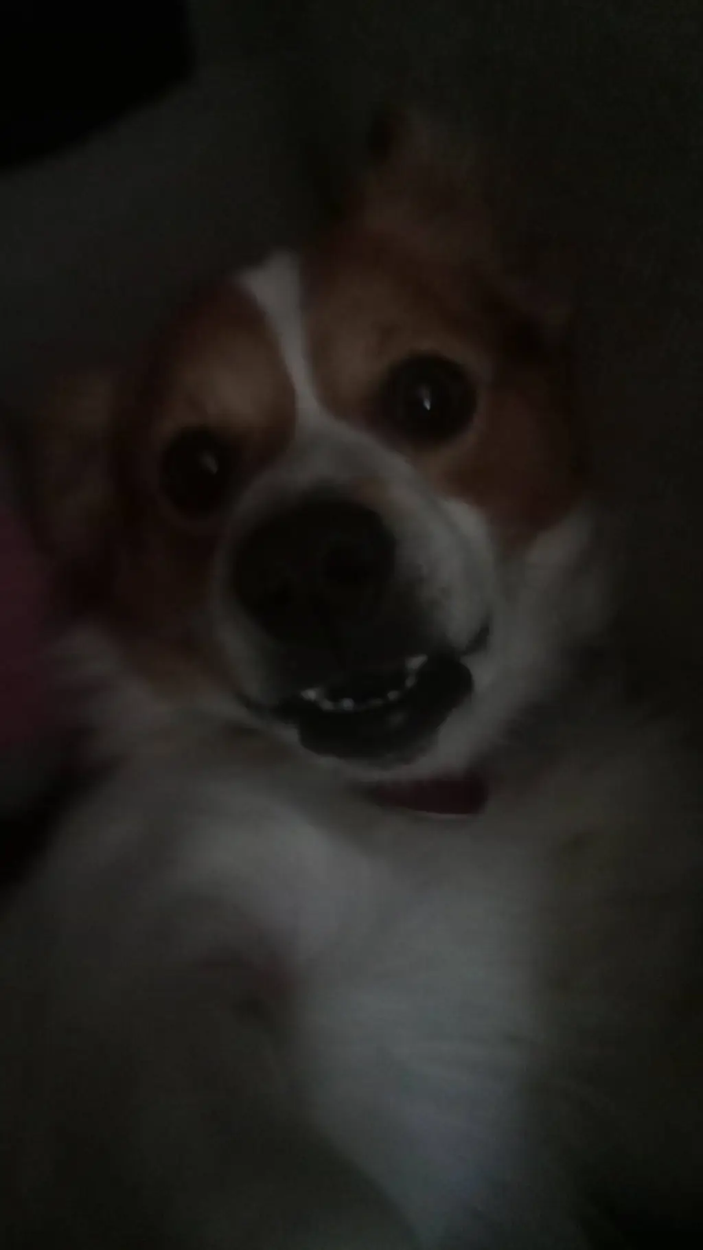 ai character: rocket background