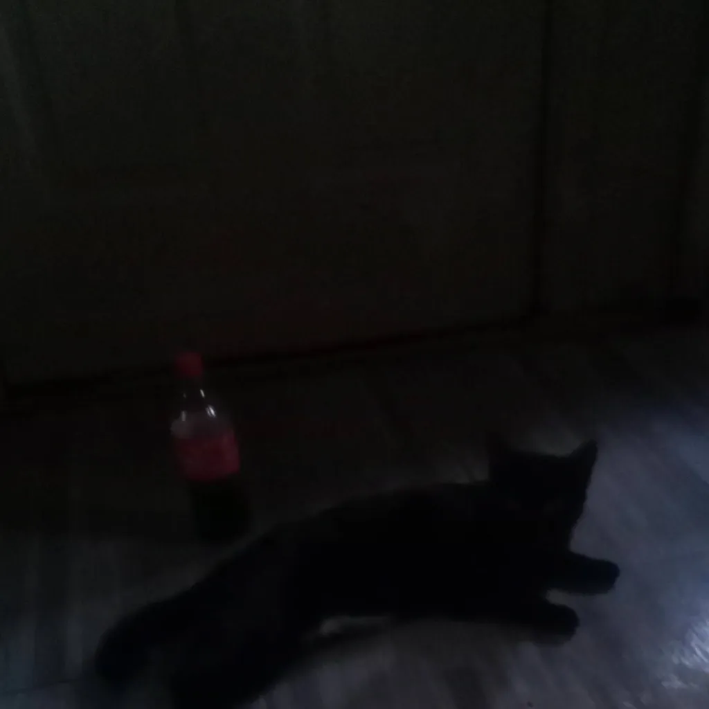 chat with ai character: shadow