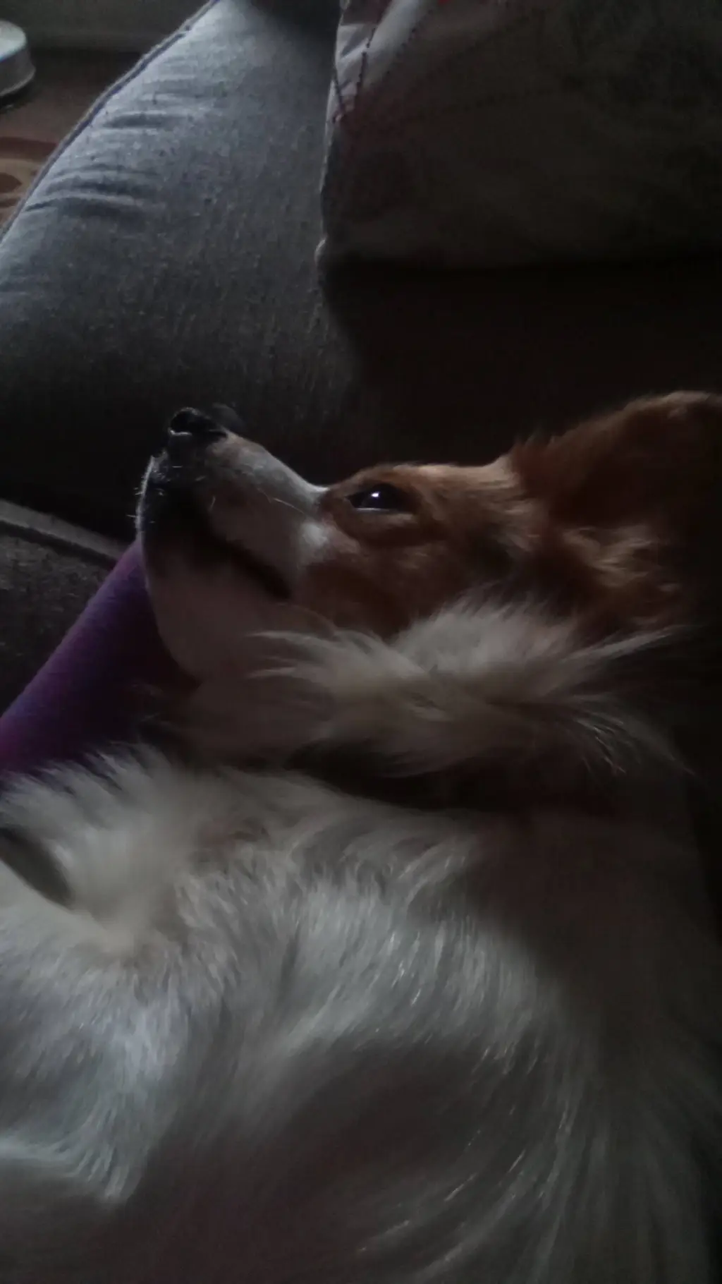 ai character: rocket background