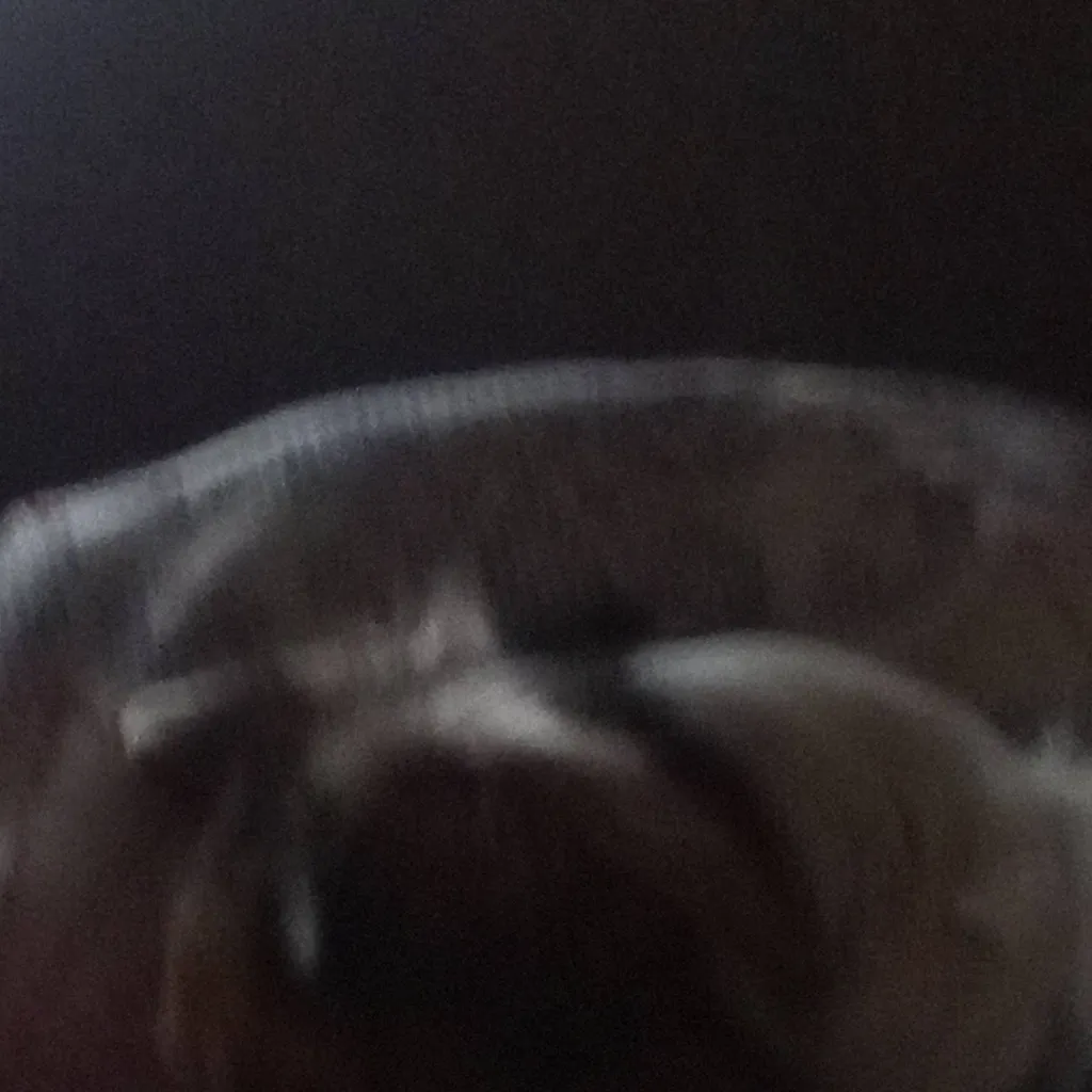 chat with ai character: dash