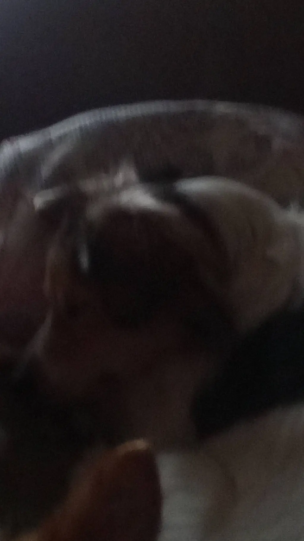 ai character: dash background