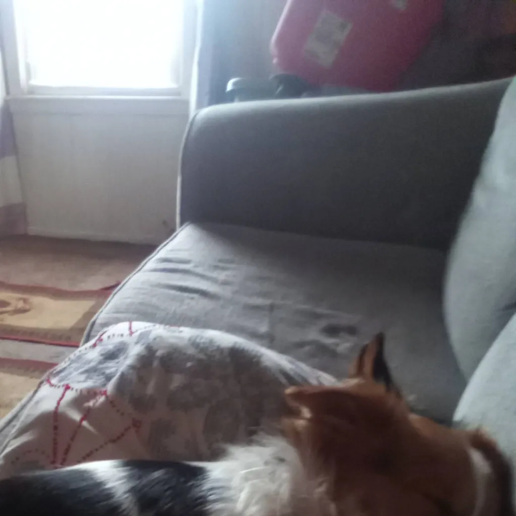 chat with ai character: rocket and bandit