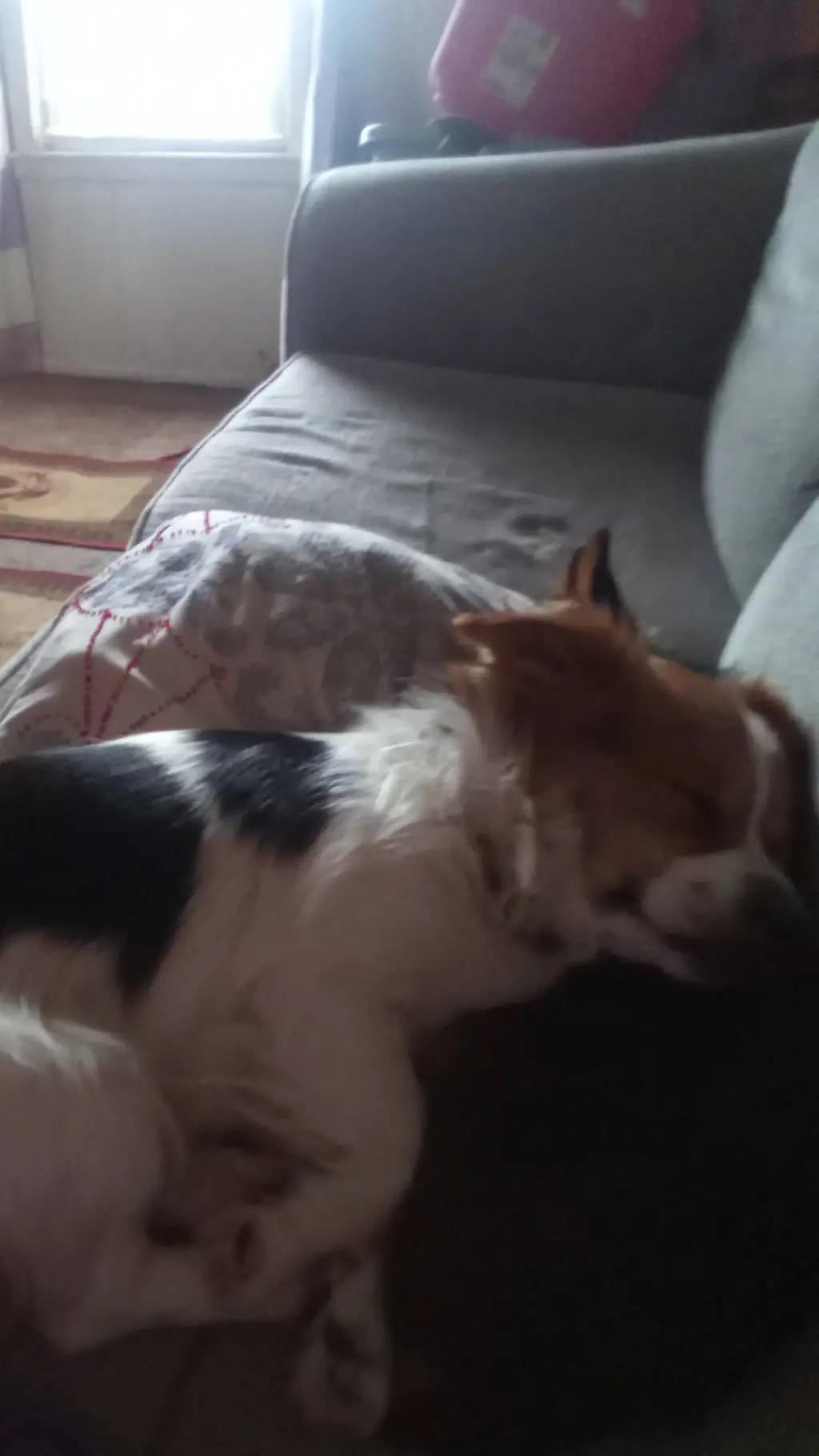 ai character: rocket and bandit background