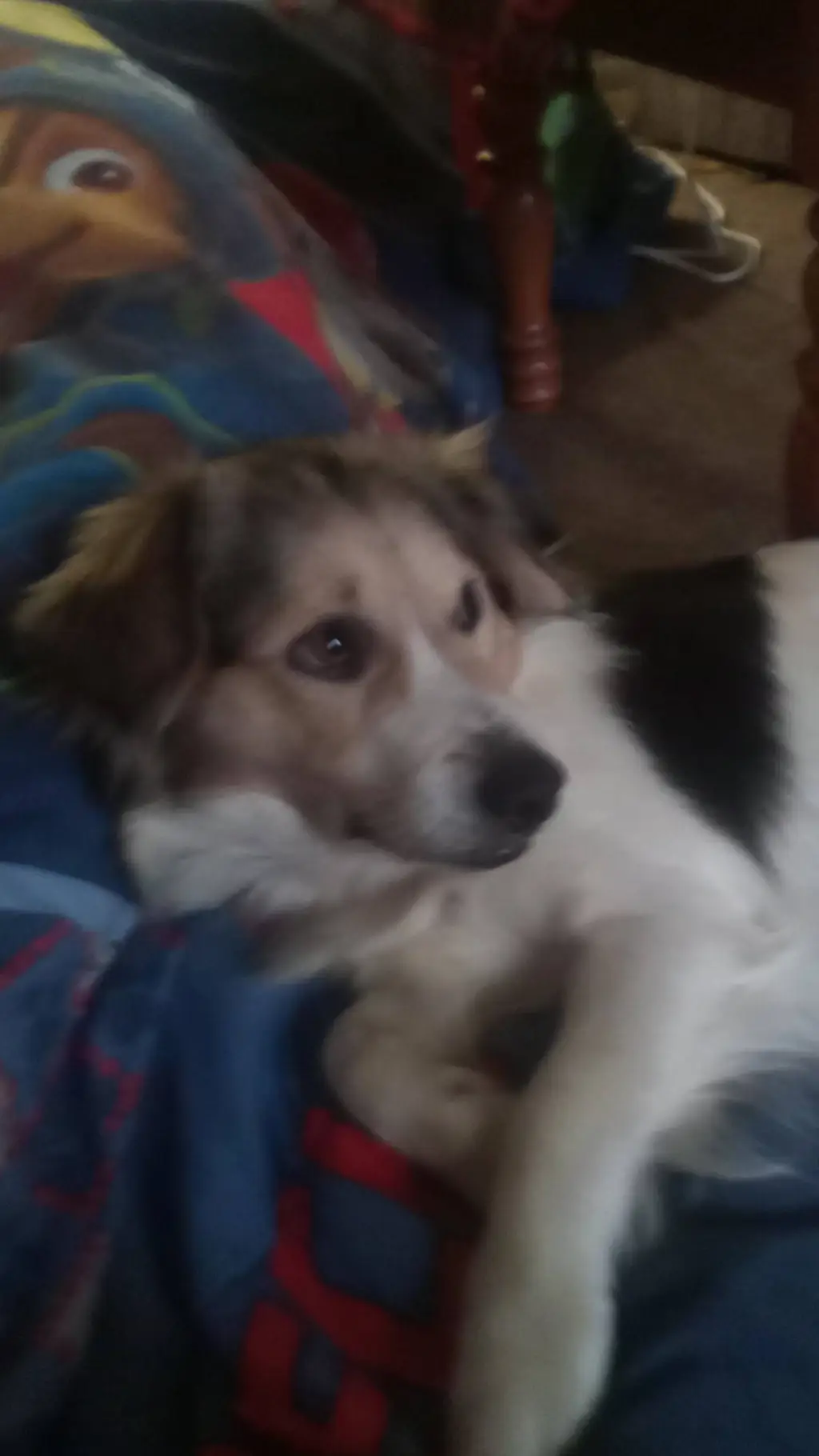 ai character: dash background