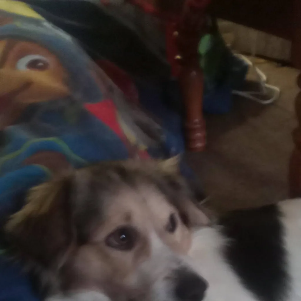 chat with ai character: dash