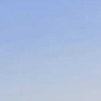 chat with ai character: Ryanair