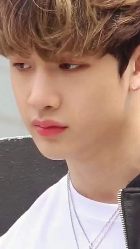 ai character: Bang Chan background