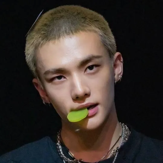 chat with ai character: Hyujin🖤🤍🍙