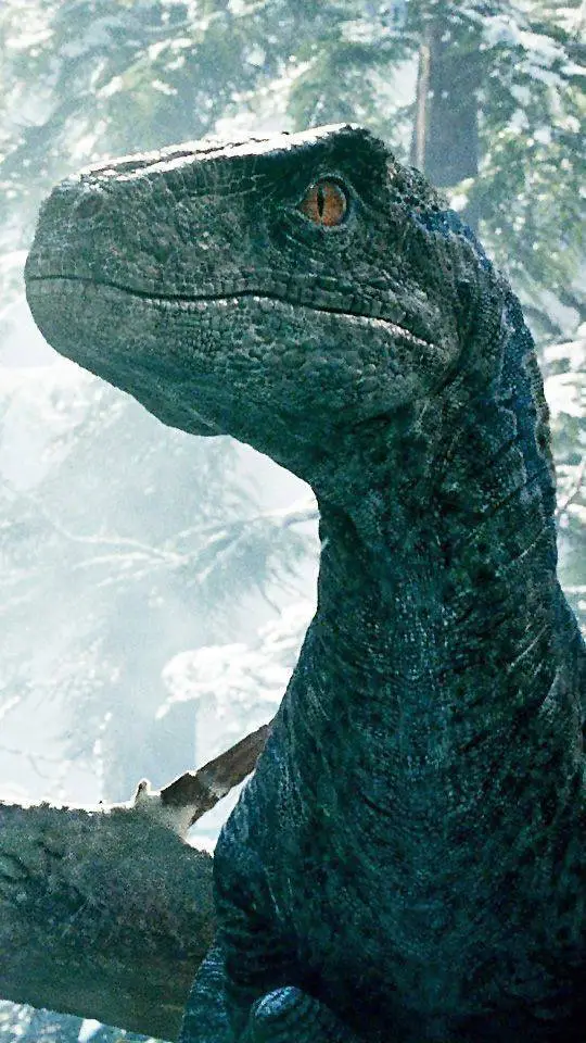 ai character: JW | Blue And Beta background