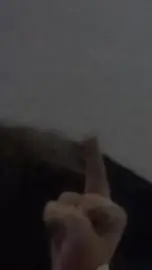 ai character: your'friends'hate background