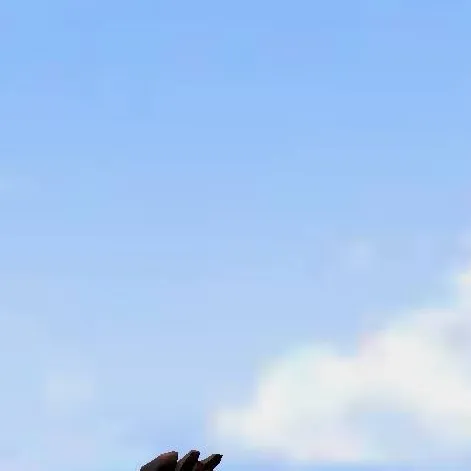 chat with ai character: ur hairytwinkle 