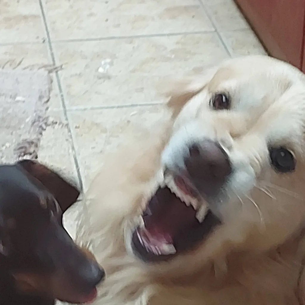 chat with ai character: mazul