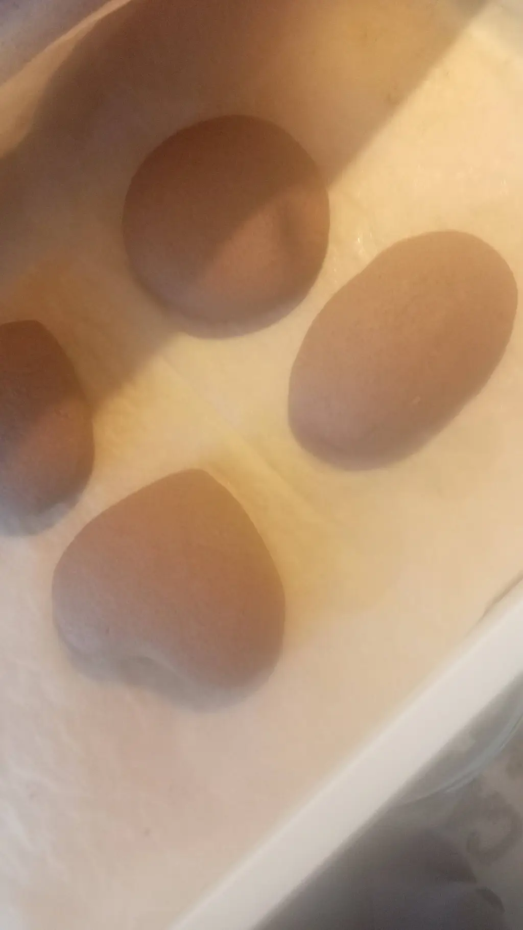 ai character: Christmas rp background