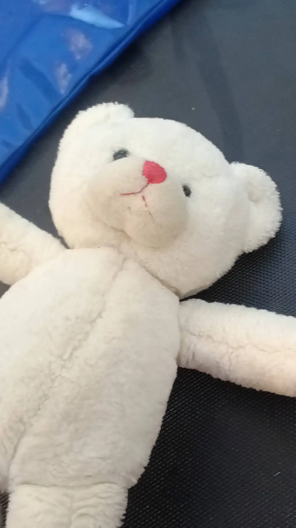 ai character: Teddy white background