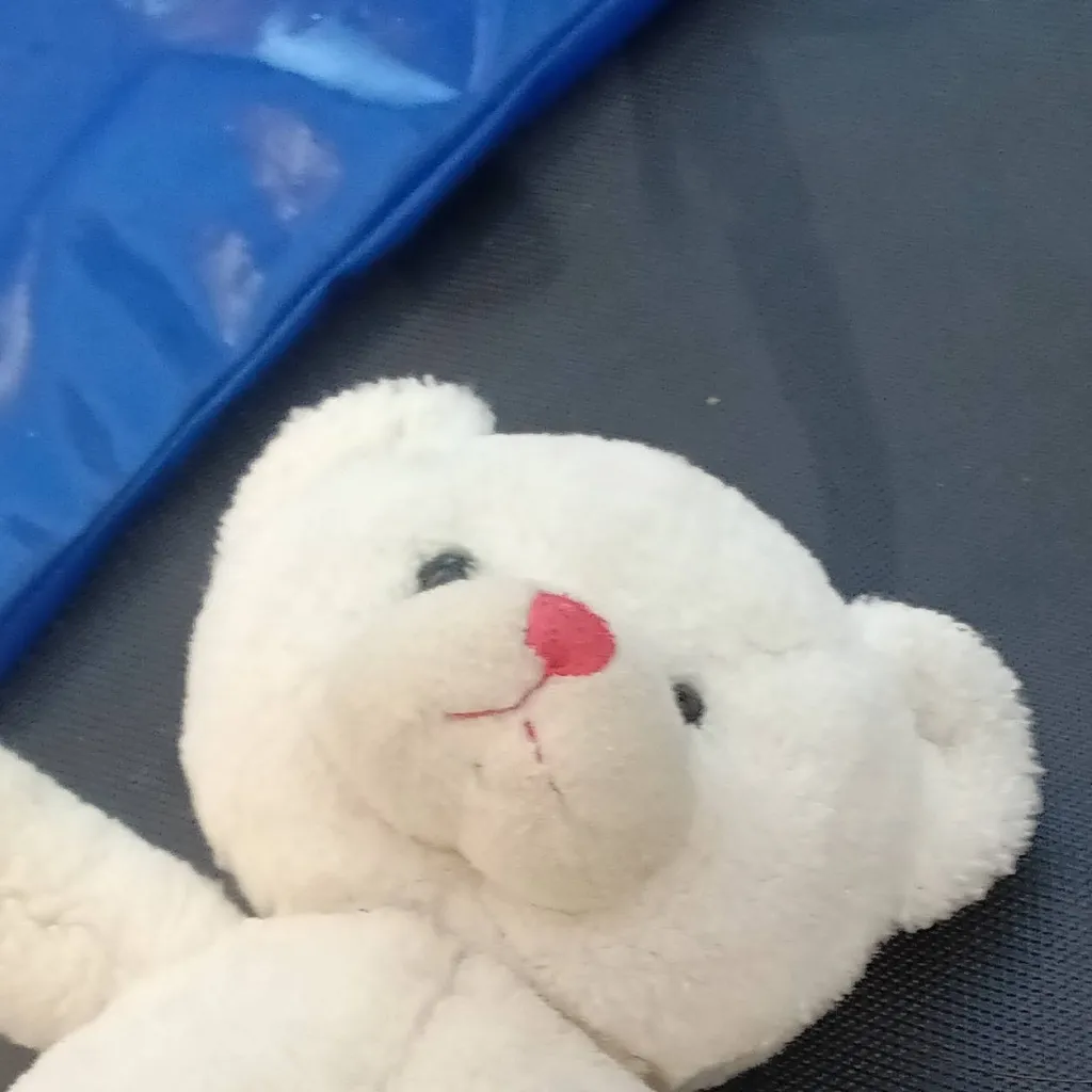 chat with ai character: Teddy white