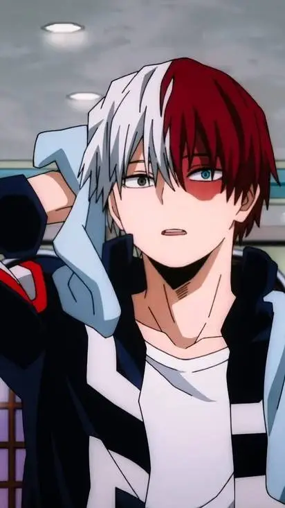 ai character: shoto todorki  background