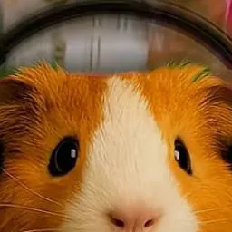 chat with ai character: Gamer pig?