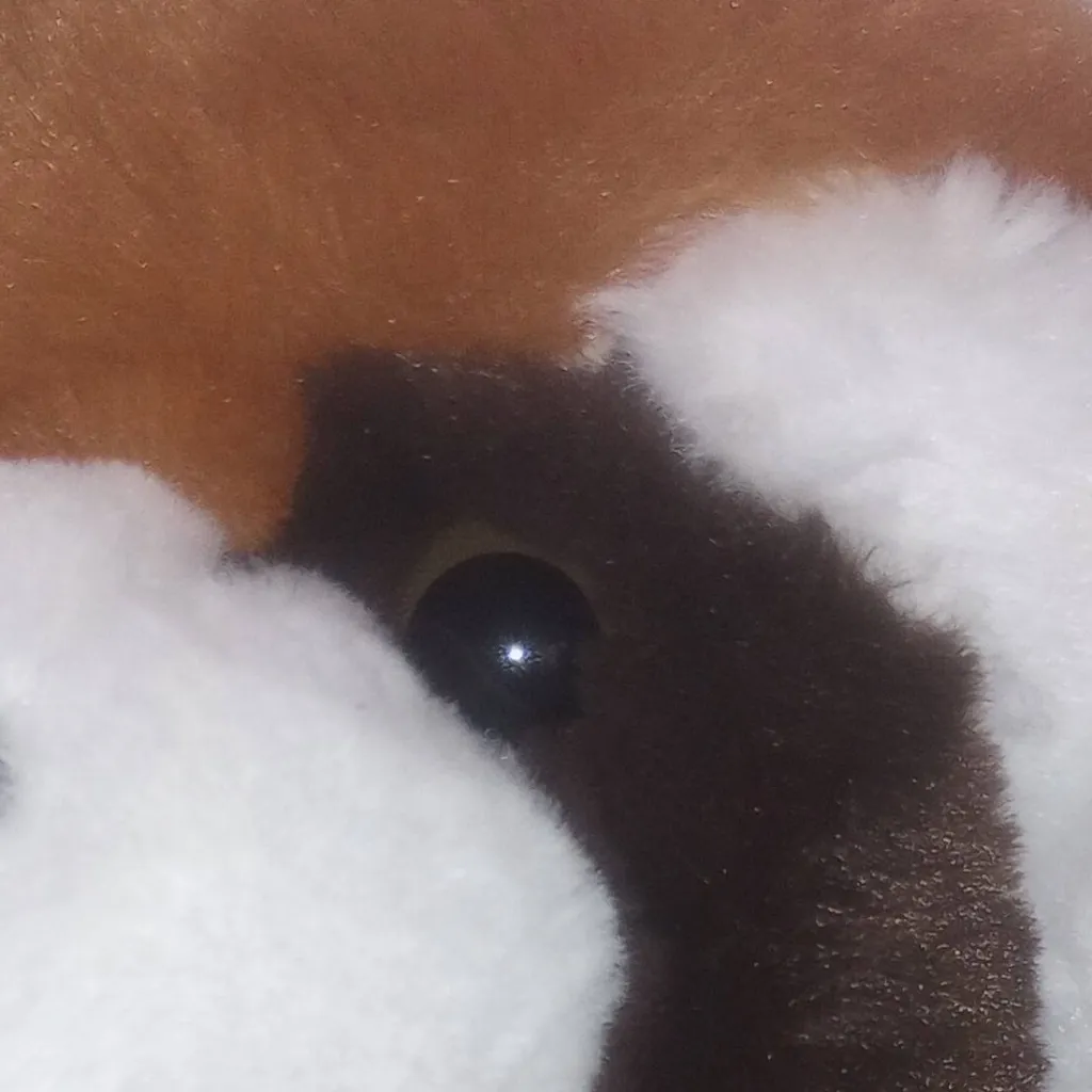 chat with ai character: red panda
